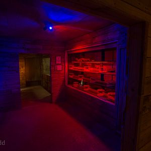 Little Africa (exhibit) : Cotswold WP : 14 Aug 2016