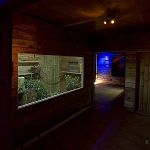 Little Africa (exhibit) : Cotswold WP : 14 Aug 2016