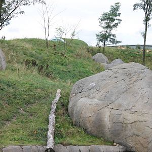 SERENGA - Part of Lion enclosure