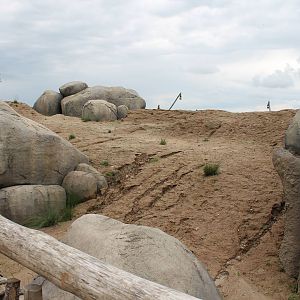 SERENGA - Meerkat enclosure