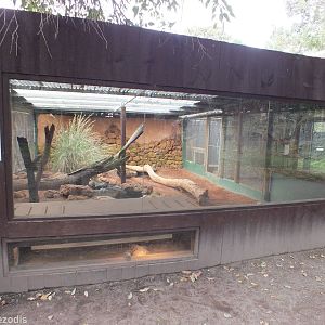 Perentie Enclosure - Caversham Wildlife Park