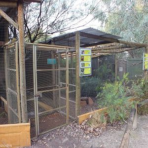 Example Small Bird Aviary - Caversham Wildlife Park
