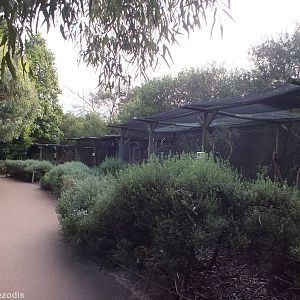 Bird of Prey Aviaries - Caversham Wildlife Park