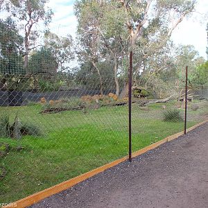 Yellow-footed Rock-wallaby Enclosure - Caversham Wildlife Park