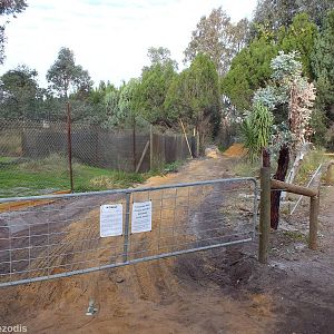 Construction of New Koala Encounter Exhibit - Caversham Wildlife Park