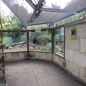 Tasmanian Devil Viewing Area - Caversham Wildlife Park
