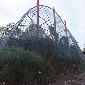 Aviary Just Outside Entrance - Caversham Wildlife Park