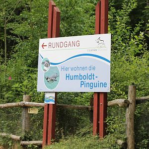 Sign Penguin enclosure