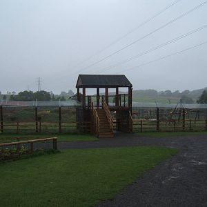View of Spectacled Bear enclosure