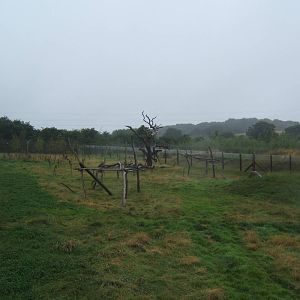 View of Spectacled Bear enclosure