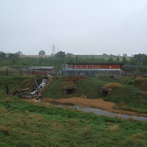 View of Spectacled Bear enclosure