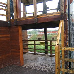 View of Spectacled Bear enclosure
