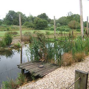 View of Wader Aviary