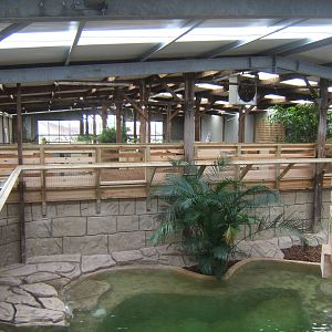 View from back of the extension of the Large Croc House