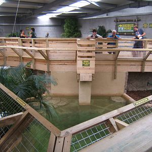 View from the start of the extension of the Large Croc House