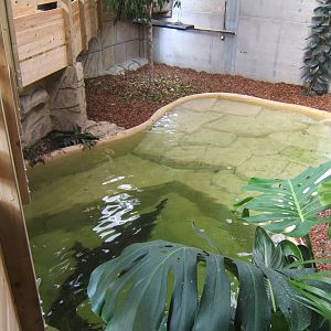 View of False Gharial enclosure