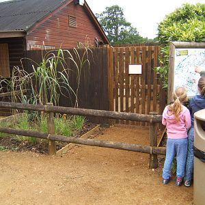 View of Entrance to Little African 5 days before opening