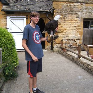 A visitor from the USA with a Bald Eagle
