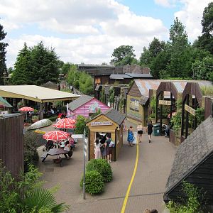 Colchester Zoo on 06/08/2016