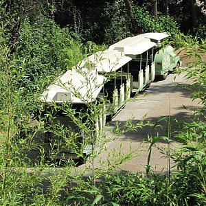 Road train on 06/08/2016