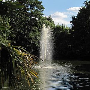 Colchester Zoo lake fountain on 06/08/2016