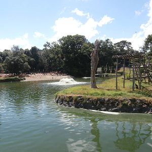 Red ruffed lemur and Chilean flamingo enclosures