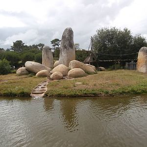 First chimpanzee island