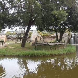 Second chimpanzee island