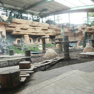 Chimpanzee indoor enclosure