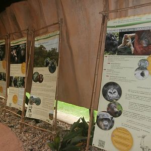 Education panels inside the great ape house