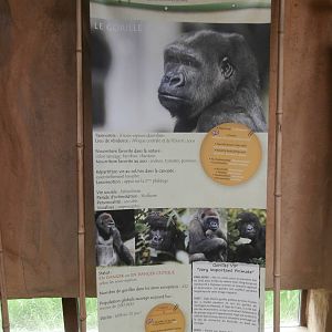 Education panel inside the great ape house