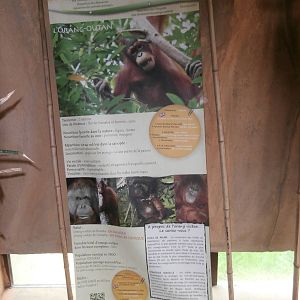 Education panel inside the great ape house