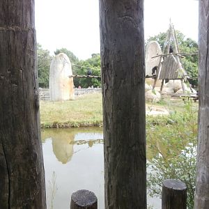 First chimpanzee island viewing