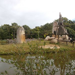 First chimpanzee island