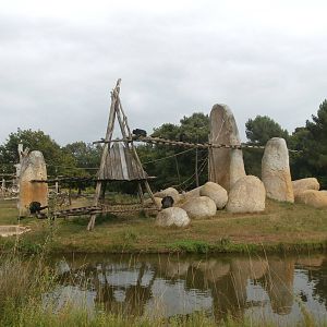 First chimpanzee island