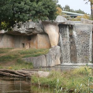 Waterfall and first chimpanzee island