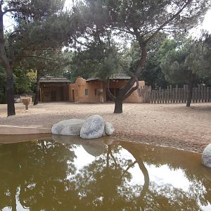 Greater kudu enclosure