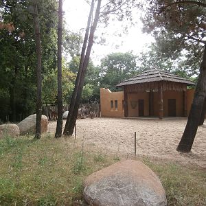 Greater kudu enclosure