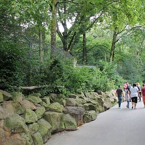 Small cat enclosures