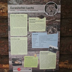 Sign European lynx