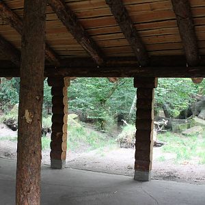 Viewing shed European lynx