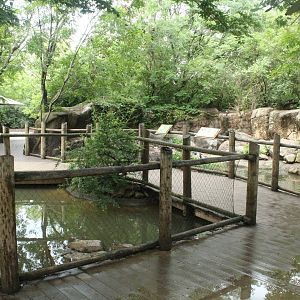 Aug. 2016 - Children's Zoo - Penguin Walkabout