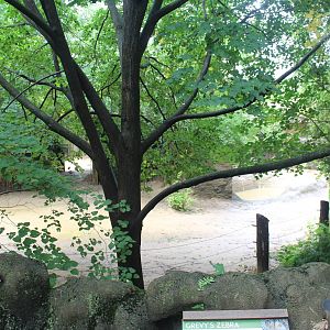 Aug. 2016 - Rhino Reserve - Grevy's Zebra + Ruddy Shelduck Exhibit