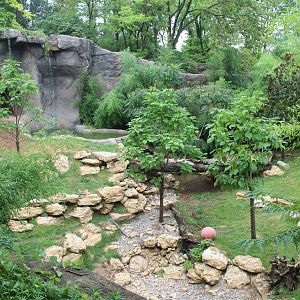 Aug. 2016 - Cat Canyon - Renovated White Tiger Exhibit