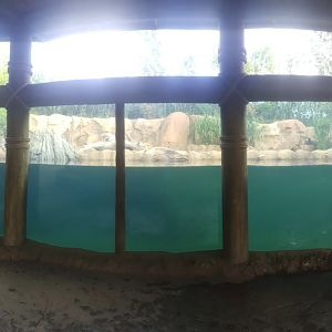 Aug. 2016 - Africa - Hippo Cove Panorama