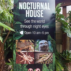 Nocturnal House Sign