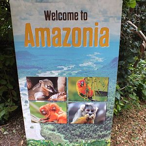 Amazonia Sign