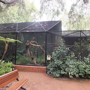 Part of Coati Exhibit