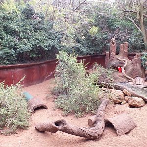Part of Meerkat Enclosure