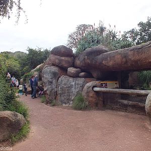 View in Africa Section